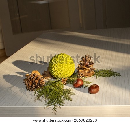 Creative arragement with Cristmas cone on the table.Flat lay. New Year decoration concept.