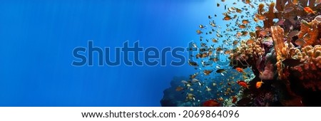 Red sea coral reef landscape with corals and damsel fishes with sun rays banner background Royalty-Free Stock Photo #2069864096