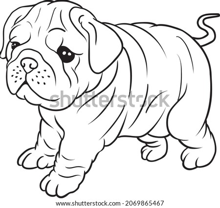 bulldog  line vector illustration isolated on white background