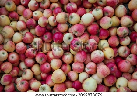 Top view of a lot of yellowish red apples, autumn mood, background photo