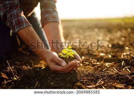 Male hands touching soil on the field. Expert hand of farmer checking soil health before growth a seed of vegetable or plant seedling. Business or ecology concept. Royalty-Free Stock Photo #2069885585