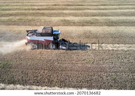Two-phase grain harvesting. A wheat field with a combine harvester picking up and threshing the mown rolls. Shooting from a drone.