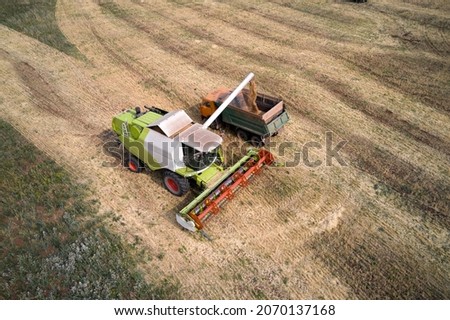Unloading of grain from the combine hopper into the dump truck body. Shooting from a drone.