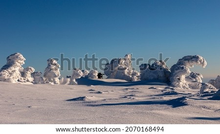 Snowy statues from trees covered with snow in the mountains, Jeseniky, Czech Republic.