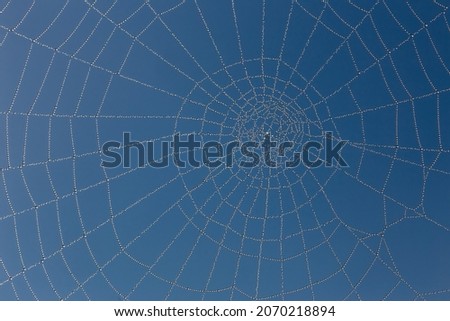 The Spider Web close up. Blue color tone.