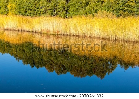 Beautiful autumn landscape on the shore of the reservoir. Sunset over the lake. Yellowed grass and green trees are reflected in the water. Small ripples on the surface of the pond
