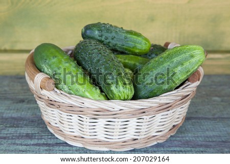 Harvest cucumbers and dill in a basket on the wooden background
