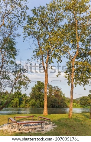 Beautiful Colorful Trees with Branches of Golden Yellow Leaves at a Park next to a River. 