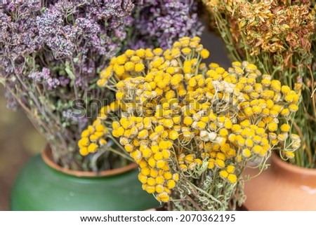Medicinal herbs in clay jugs. Royalty-Free Stock Photo #2070362195