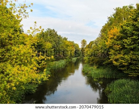 Autumn landscape in the park. River and green-yellow leaves of trees