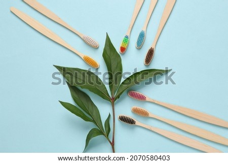 Natural dental care. Toothbrushes with green leaves on blue background