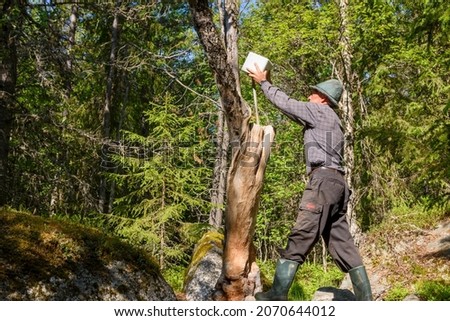 Hunter with a hat lifting a lick stone in place on a stump, picture from vasternorrland sweden.