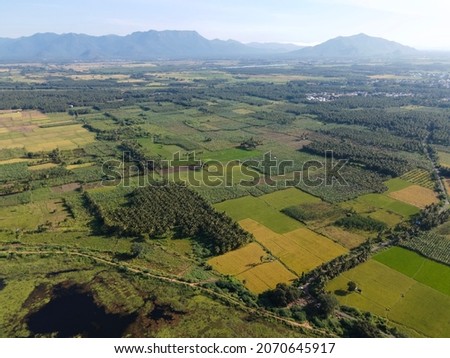 drone shot aerial view top angle cloudy valleys agricultural fields lands paddy beautiful scenery green meadows coconut trees grasslands cultivation bright sunny day irrigation 