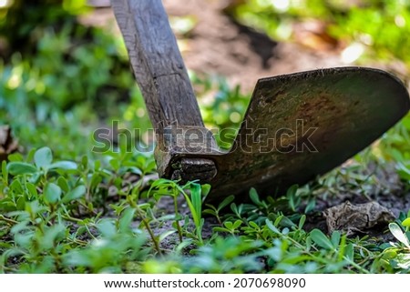 Old wooden and iron ground hoe at soil tilling