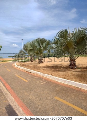 Praia da Graciosa, paved path, palm trees