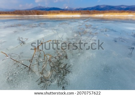 Autumn grass frozen into the ice. Beautiful winter landscape. Close-up. Sikhote-Alin Biosphere Reserve.