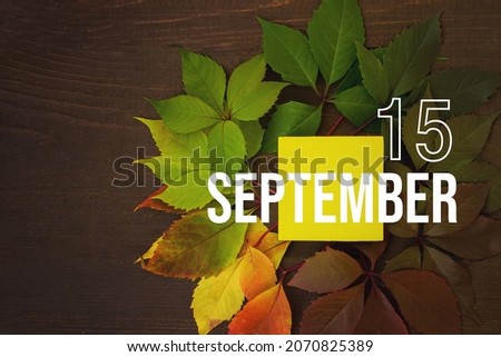 September 15th. Day 15 of month, Calendar date. Autumn leaves transition from green to red with calendar day on yellow square, wooden background. Autumn month, day of the year concept