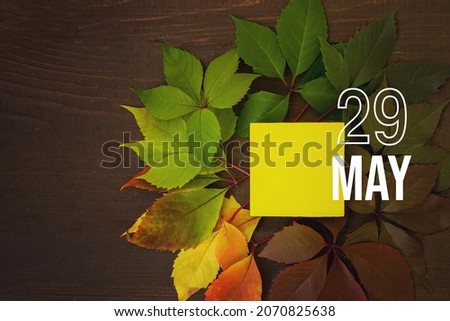 May 29th. Day 29 of month, Calendar date. Autumn leaves transition from green to red with calendar day on yellow square, wooden background. Spring month, day of the year concept