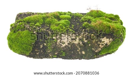 Old brick in moss isolated on white background. Detail for design. Design elements. Macro. Full focus. Background for business cards, cards and posters 
