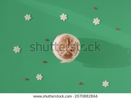Ball of wool, red berries and snowflakes lay down on pastel green background. Minimal flat lay composition, Christmas and New Year decorative  concept