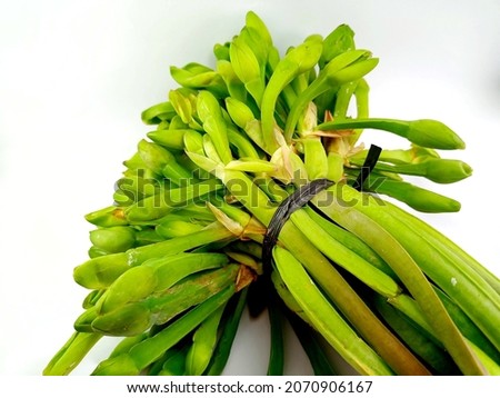 fresh genjer vegetables isolated on a white background