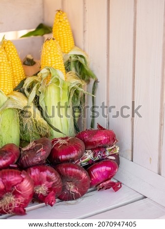 Pumpkin, zucchini, corn and other healthy farm vegetables in autumn season market background