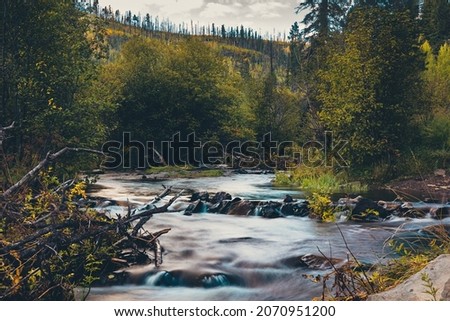 The scenic nature of Little Colorado River in Greer in the morning, Arizona Royalty-Free Stock Photo #2070951200