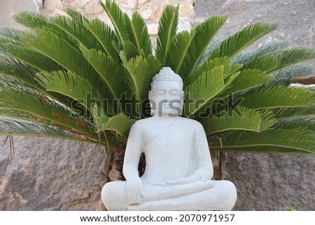 Buddha stone and palm tree asian