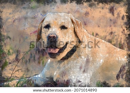 Portrait of a cream-colored Labrador. Adult male lying on the grass outside. Pet. Digital watercolor painting
