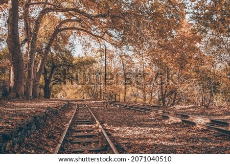 Perspective railway and panorama of autumn trees along the tracks. Autumn landscape in sunny weather. Railway and autumn forest