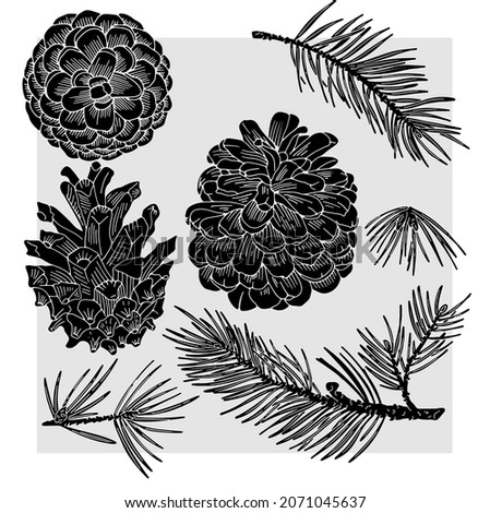 Spruce cones and branches are drawn with a black line. The form is transparent on a gray background. Suitable for Christmas patterns, cards and packaging.