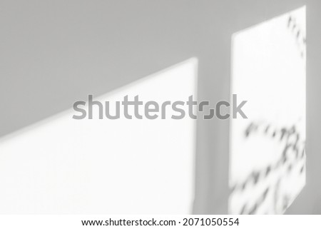 Abstract background with window shadow and sunlight on a gray concrete wall. Mockup for presentation, screensaver with plant reflection and window frame. Royalty-Free Stock Photo #2071050554