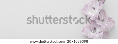 
Fresh gladiolus flower on light gray table background. Closeup. Condolence card. Empty place for emotional, sentimental text, quote or sayings. Wide banner. Royalty-Free Stock Photo #2071056398