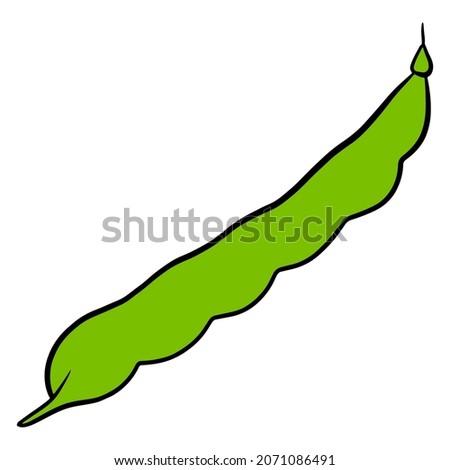Fresh beans. Green young green beans. Ingredient for dishes. Cartoon style. Vector illustration for design and decoration.