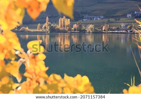 Yellow autumn reflections on the lake of Caldaro