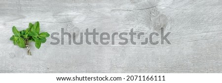Mint bouquet on gray wooden background with copy space. Fresh mint banner, top view