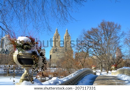 Central Park, New York City bow bridge in the winter. Manhattan. New York. USA.