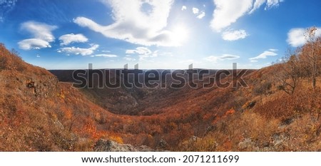 Autumn forest in Primorye, Far East. Panorama
