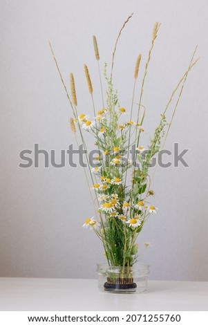 a bouquet of daisies in a glass vase on the table. chamomile flowers in the bride's bouquet or as a gift to a woman. a bouquet of daisies for a birthday gift or for the decoration of an event