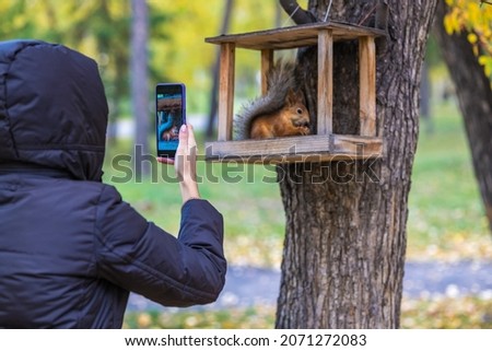 In the park, a woman takes a picture of a red squirrel sitting in a feeder on her phone.