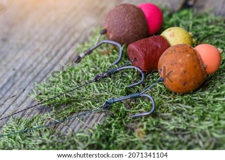 Carp fishing chod rig.The Source Boilies with fishing hook. Fishing rig for carps,Carp boilies, corn, tiger nuts and hemp.Carp fishing food boilies. Royalty-Free Stock Photo #2071341104