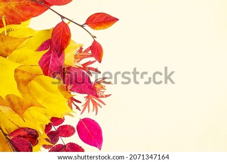 Bright colorful red, pink, orange and yellow autumn tree branches with leaves on light beige background. Fall season natural decoration with copy space