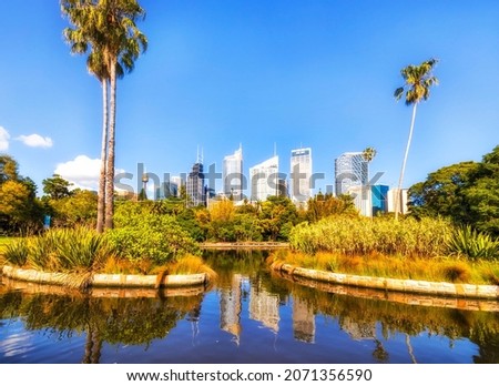Fresh water pond with plants and palm trees in a public garden of City of Sydney in view of high-rise business office towers.