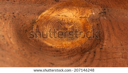 Very Old Wood Background  Cross section of tree trunk  