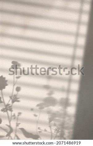 Background with floral field and window shadow