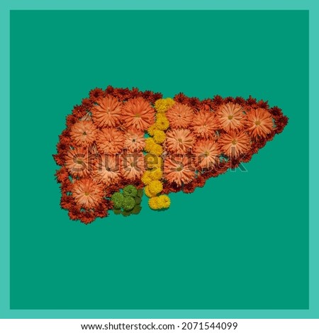 Human liver anatomical model made of flowers on green background, concept of liver health. Part of set medical pictures of internal human organs Royalty-Free Stock Photo #2071544099