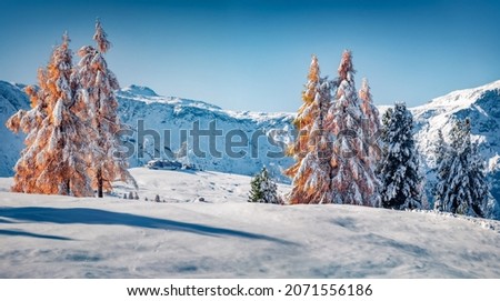 Panoramic morning view of Alpe di Siusi village. Colorful winter scene of Dolomite Alps. Stunning landscape of ski resort, Ityaly, Europe. Beauty of nature concept background.
