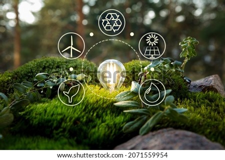 Green forest with moss and grass with lightbulb. Symbols of sustainable and eco friendly energy sources. Earth energy concept. Royalty-Free Stock Photo #2071559954