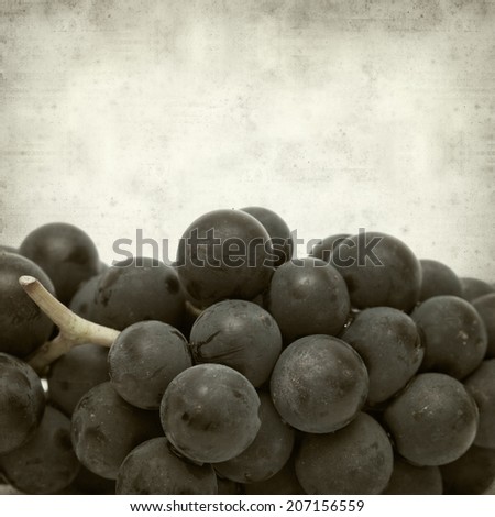 textured old paper background with black  grapes