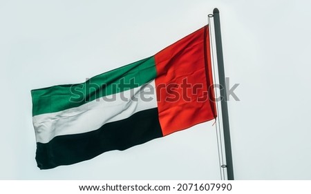 Flag of the United Arab Emirates blowing in the wind 
